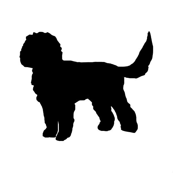 australianlabradoodle – ALD – suomalainen australianlabradoodle kasvattaja – australianlabradoodle pentu – ALD pentu – perhekoira – harrastekoira – eettinen – allergiaystävällinen – koirarotu – koulutettavuus – koira